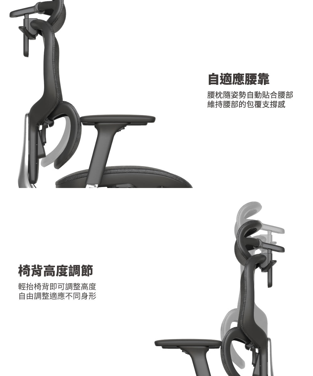 Viola 工學椅